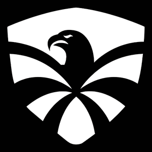 logo Flying Eagle Skates